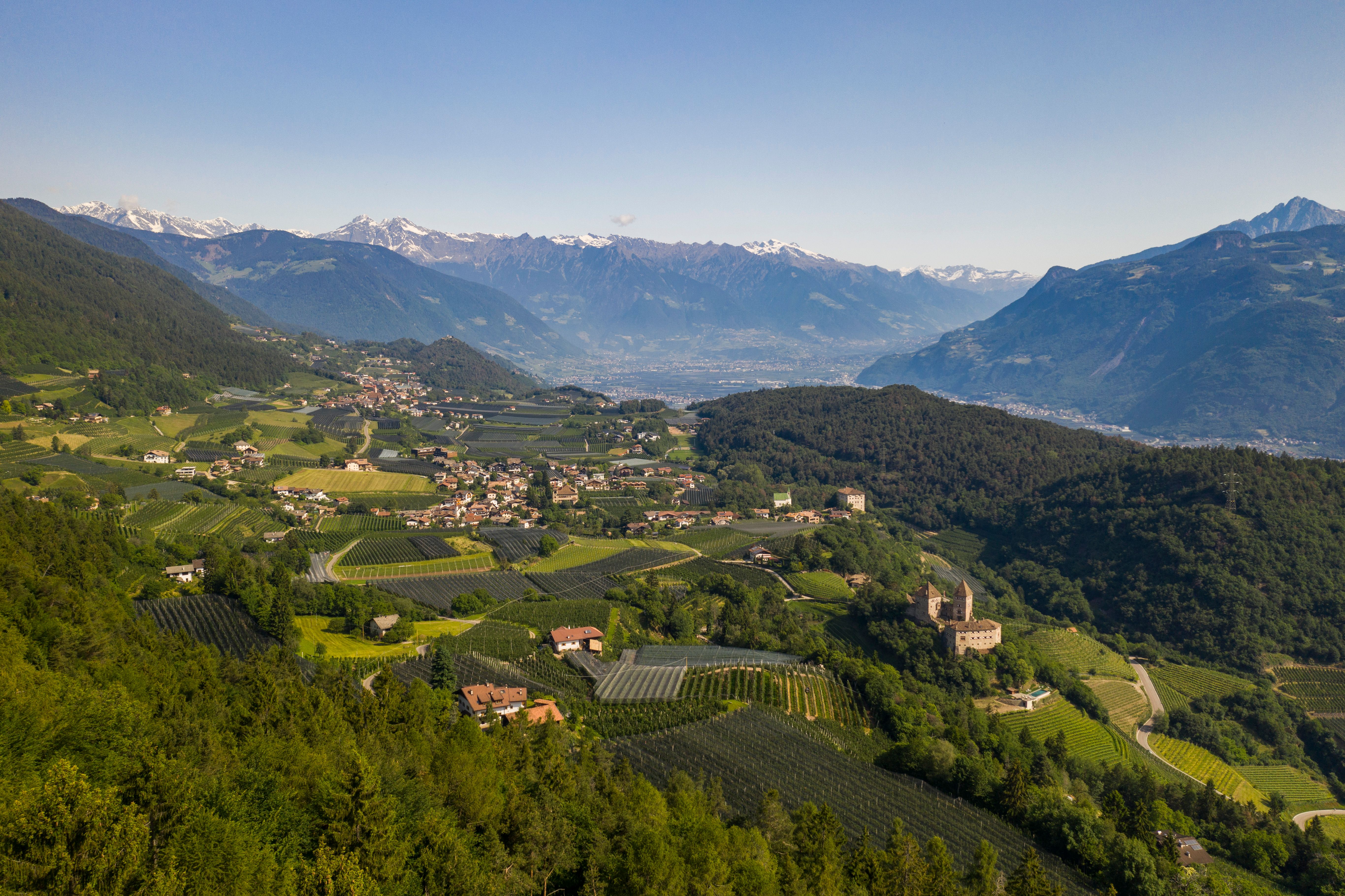 Panorama