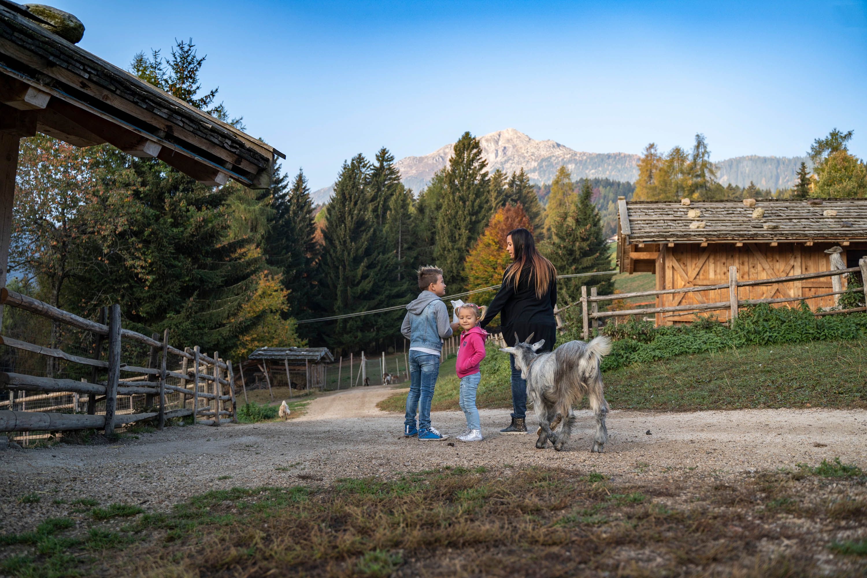 Tierwelt