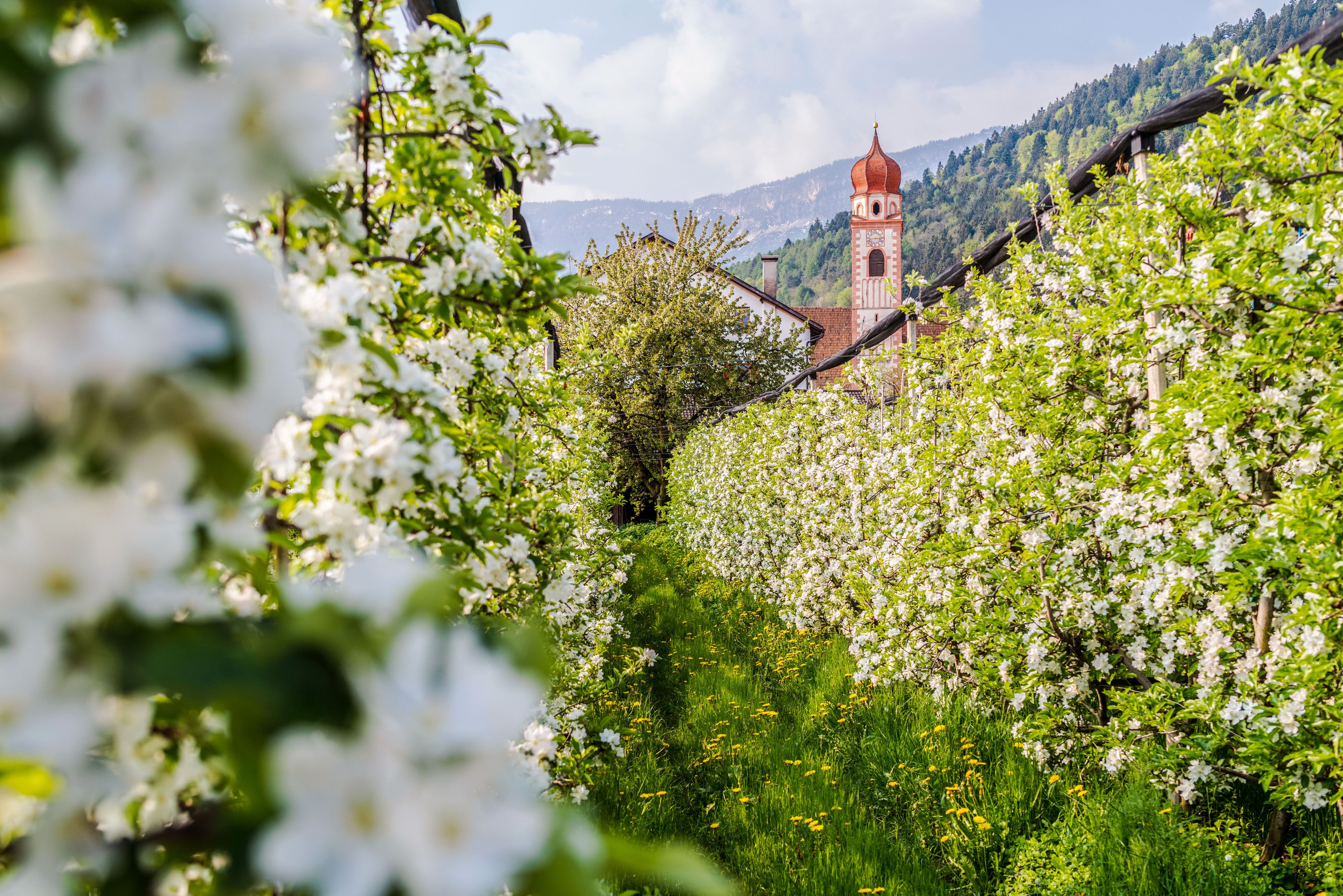 Frühling